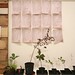 Carl Newland Photo 5