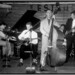 Terry Wilkins Photo 10