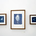 Anna Kauffman Photo 8