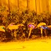 Jon Gardner Photo 1
