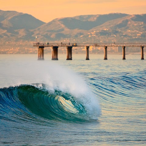 Shawn Dugan Photo 9