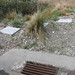 Jean Wellington Photo 9