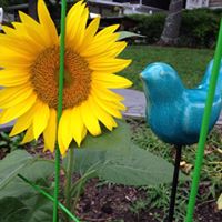 Cindy Colley Photo 15