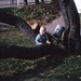 Aaron Gunderson Photo 20