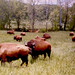Loretta Sharp Photo 11