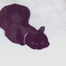 Betty Lay Photo 8