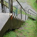 Steven Fort Photo 29