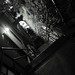 Jason Macneil Photo 17