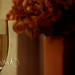 Sarah Wine Photo 12