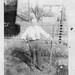 Allen Wiley Photo 15