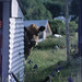 Randolph Raymond Photo 11