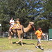 Stacey Stover Photo 30