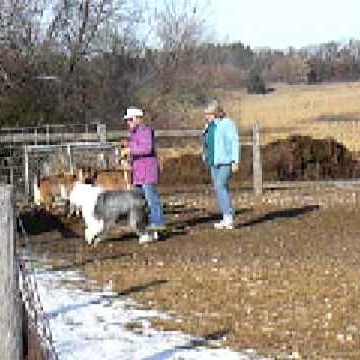 Jan Guthrie Photo 13