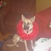 Becky Olmstead Photo 24