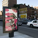 Susan Hutter Photo 14
