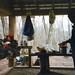 Dana Cook Photo 14