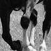 Teresa Lister Photo 11