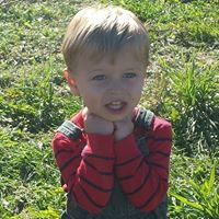 Julie Kersey Photo 13