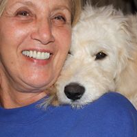 Susan Sussman Photo 28