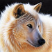 Sandi Baker Photo 27
