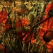 Kent Atkins Photo 7