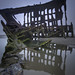 Steven Peters Photo 28