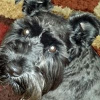 Peggy Houser Photo 9