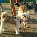Lou Jackson Photo 38