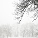 Misty Anders Photo 9