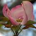Julie Bloom Photo 14