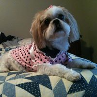 Rachel Fairley Photo 6