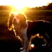 Charles Wiese Photo 15