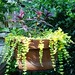 Jenny Shields Photo 13