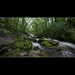 Laurence Rich Photo 6
