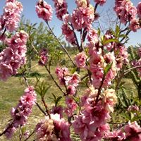 Mark Walder Photo 9