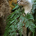 Cindy Gray Photo 14