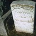 Julia Winfield Photo 8