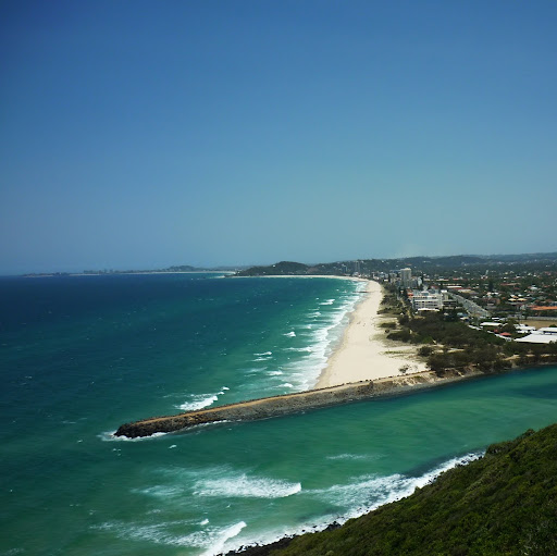 Chester Lee Photo 6