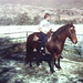 Tracy Sherwood Photo 29