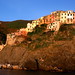 Anne Monterosso Photo 4