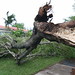 Dennis Black Photo 13