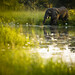 Michael Hutchens Photo 16