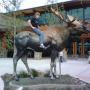 Larry Francis Photo 30