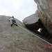 Ronald Helms Photo 26