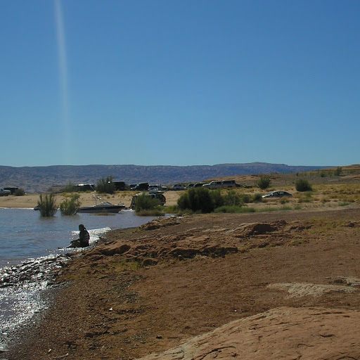 Bertha Carrillo Photo 15