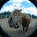 Brenda Rosales Photo 35