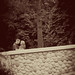 Kimberly Graham Photo 23