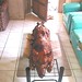 Anthony Cordova Photo 10