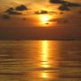Brenda Nettles Photo 24