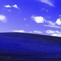 Patrick Stella Photo 11